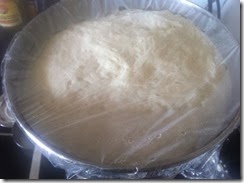 IMG_1813 IMG_1813