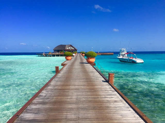 Dive Into Paradise: Your Ultimate Guide for a Dream Vacation on the Maldives