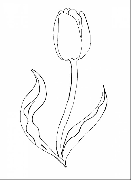 Magnificent Printable Tulips Flower Coloring Pages With Spring Flowers  Coloring Pages And Printable Spring Flowers Coloring