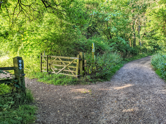 Head SW and uphill through Cangsley Grove