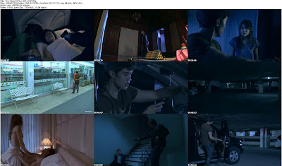 The Ghost Killer (2011) DVDRip 480p 350MB