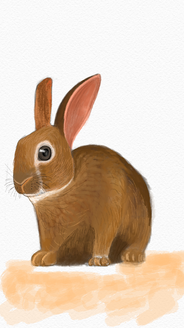 How to draw Rabbit on your mobile phone?