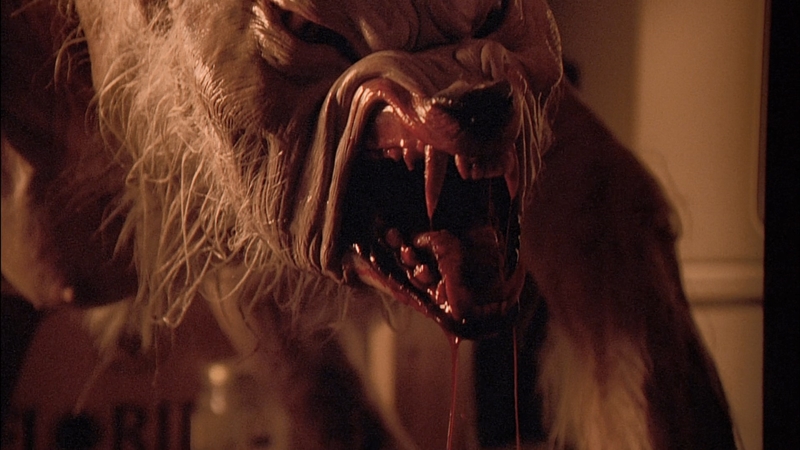 Best Werewolf Movies of All Time: 'Ginger Snaps,' 'Teen Wolf,' More –  IndieWire