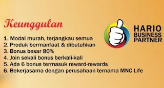 Bisnis Online Rumahan Inovasi Terbaru dan Terpercaya