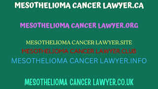 How to Get Free Mesothelioma Cancer Lawyer Domain Name