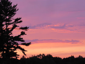 pink sunset