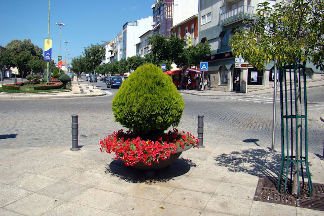 Jardines geométricos o formales (Braganza).