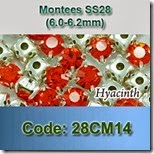 28CM14 copy