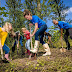 Nieuw fonds voor kleinschalige initiatieven om bomen te planten