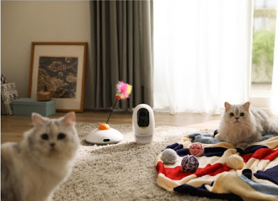 Pawbo Catch and Pawbo Life Camera Is An AWESOME Solution For Owners To Stay Connected With Pets While Travelling