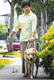 HER EYES: Guide dog Nice with its owner, Miss Lim.