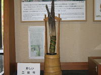 珍しい二股竹