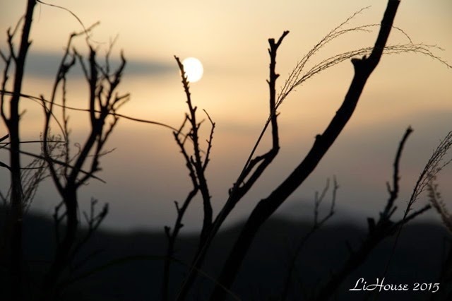IMG_0562