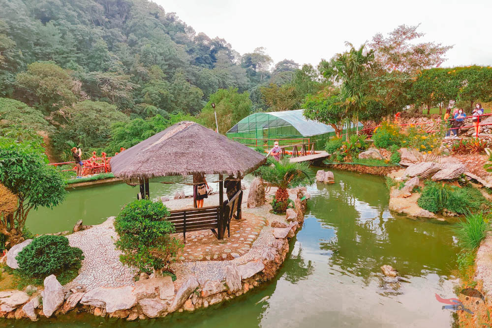 Pond in the garden of BenCab Museum