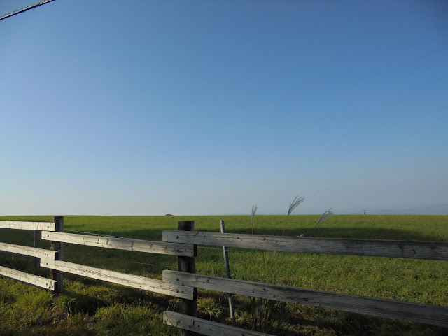 大山牧場の牧草地の風景