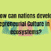 How can nations develop Entrepreneurial Culture in their ecosystems