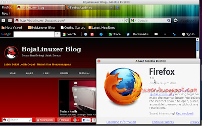 Mozilla Firefox 4.0