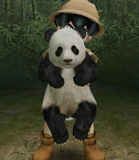 panda being lifted by man in a hat