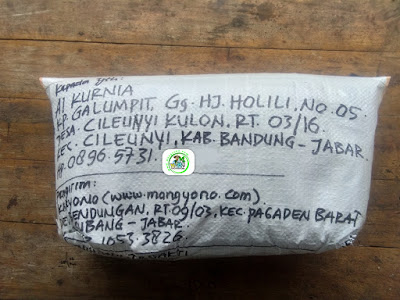  Benih padi yang dibeli   AI KURNIA Bandung, Jabar.  (Setelah packing karung ). 