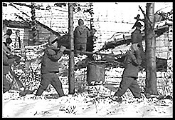 200602050001_02
