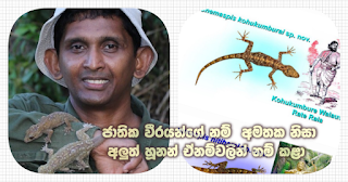 "Because names of national heroes are forgotten ... names of geckos were used" 