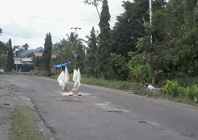 Jalan Lintas Pariaman-Sicincin Banyak Berlobang, Butuh Perhatian Pemerintah Untuk Memperbaikinya