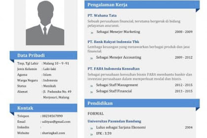 31 Contoh Cv Bahasa Inggris