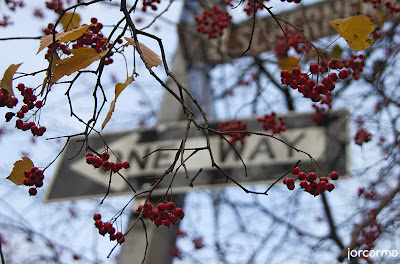 otoño en Nueva York