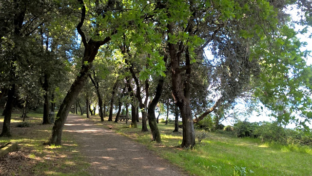 Lago Trasimeno  - Isola Polvese  San Feliciano