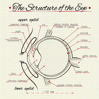 Simple eye diagrams | Easy eye diagram | Labeled eye diagram