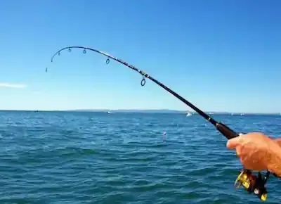 يد شخص يمسك ببوصة سنارة ليصطاد بها الأسماك من البحر