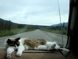 on the road again