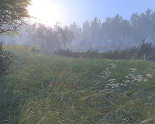 Arma3用Kihnu島マップ アドオンが開発中