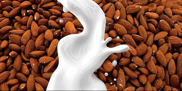 Almonds a Complete Food - Health-Teachers
