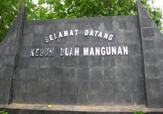 selamat datang di kebun buah mangunan