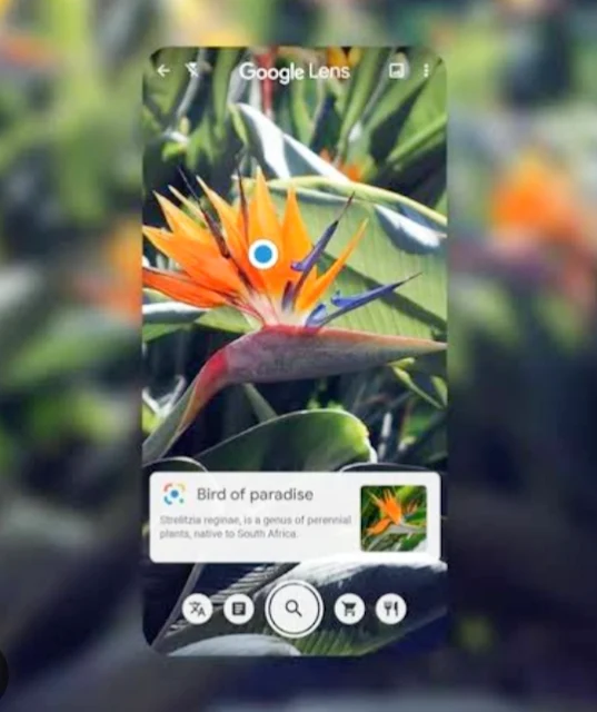 Google Lens: Search the World with Your Camera