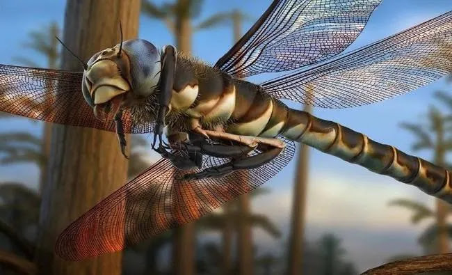 Ένα τεράστιο έντομο έκλεψε ένα μοσχάρι: Μια περίεργη ιστορία μιας γυναίκας από το Νέο Μεξικό