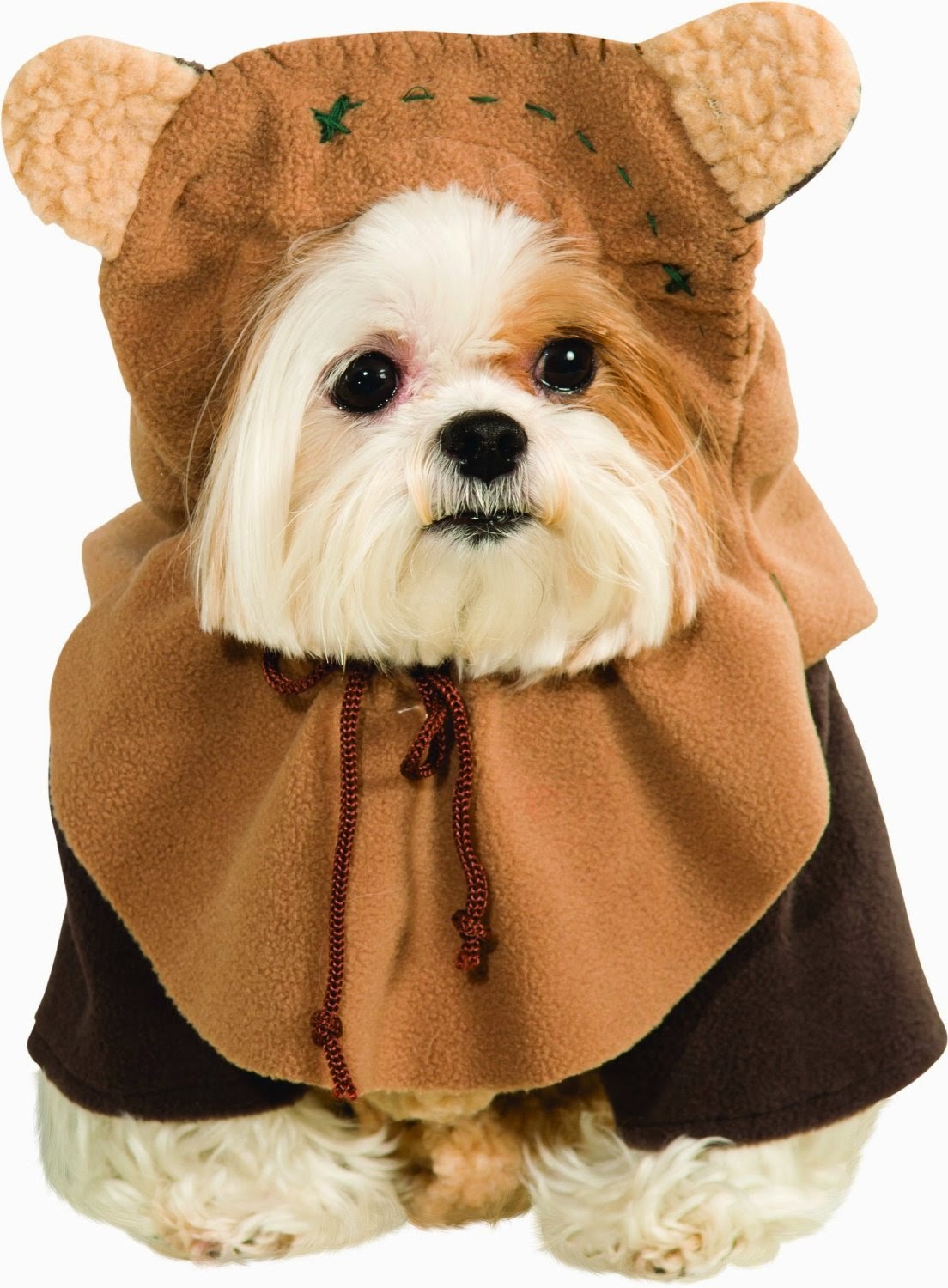 Best selling dog Halloween costume