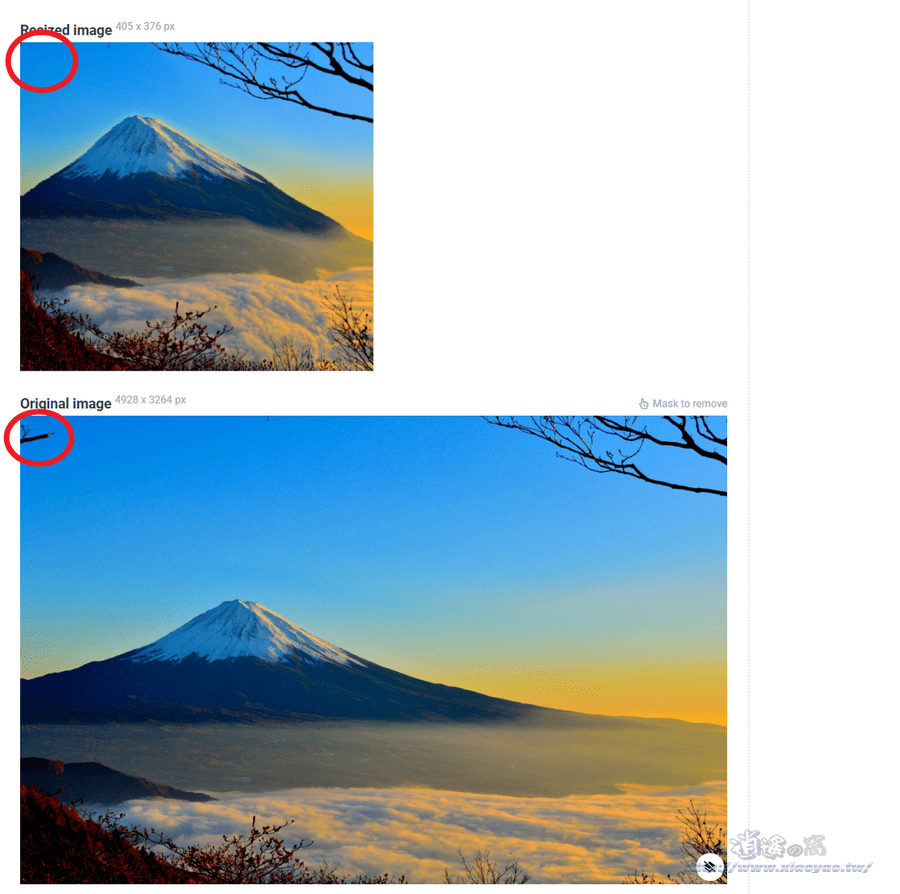 JS IMAGE CARVER 調整圖片長寬比，自動感知圖片內容減少變形