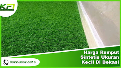 Harga Rumput Sintetis Ukuran Kecil Di Bekasi