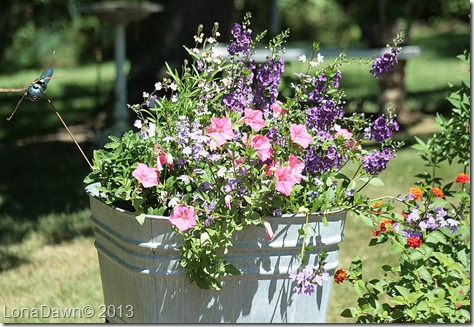 Washtub_June26