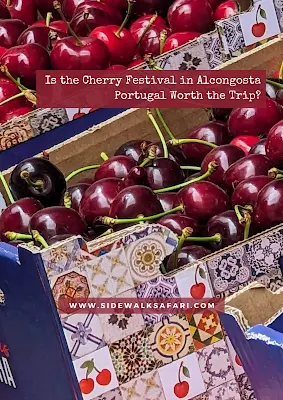 Is the Cherry Festival in Alcongosta Worth the Trip?