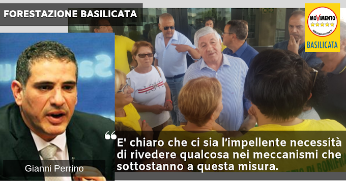 Perrino (M5S): Si avvii una seria riflessione sul settore della forestazione