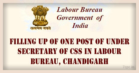 CSS-LABOUR-BUREAU-INDIA-CHANDIGARH