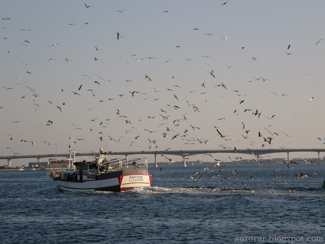 Regresso da pesca - Cliché