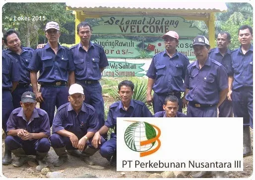 Lowongan perkebunan nusantara 2015, Info kerja BUMN PTPN 3, Peluang kerja BUMN 2015