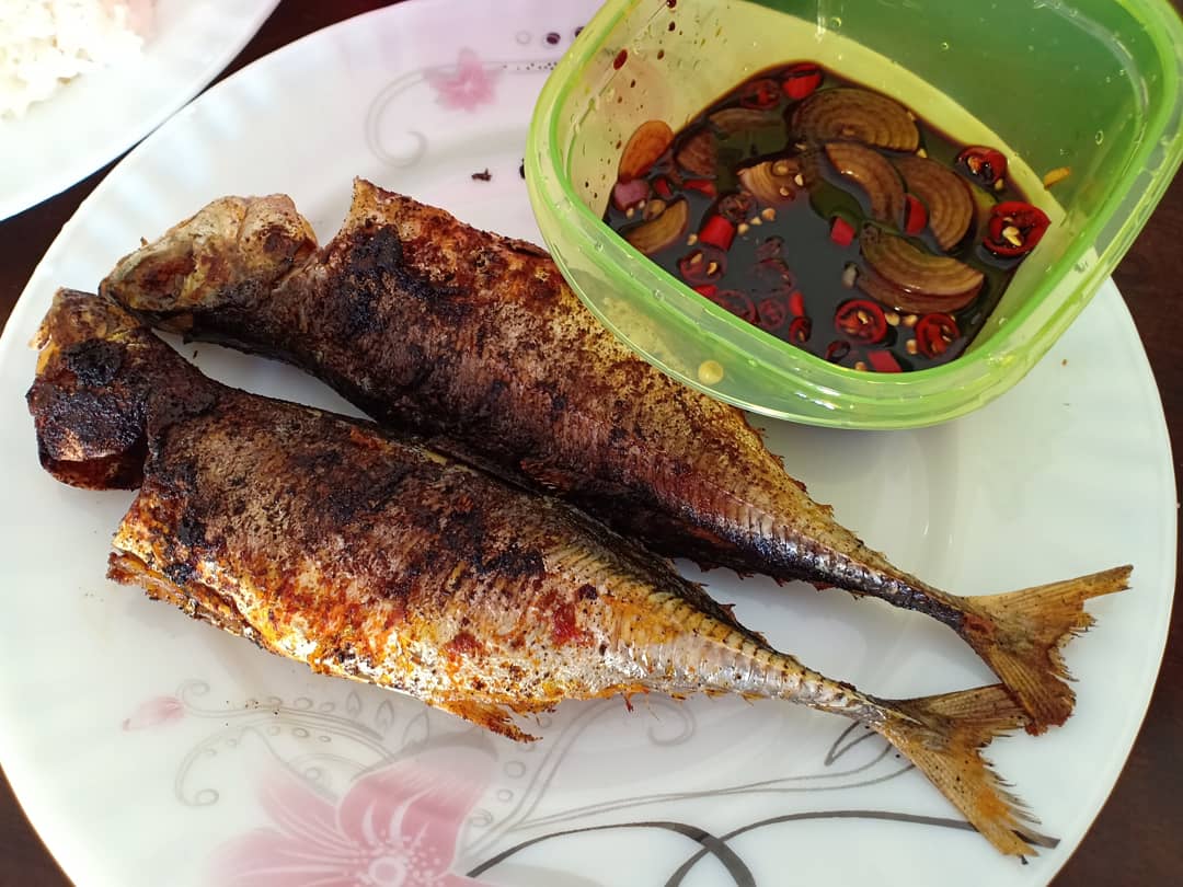 IKAN CENCARU BAKAR SEDAP DI MAKAN DENGAN SAMBAL KICAP