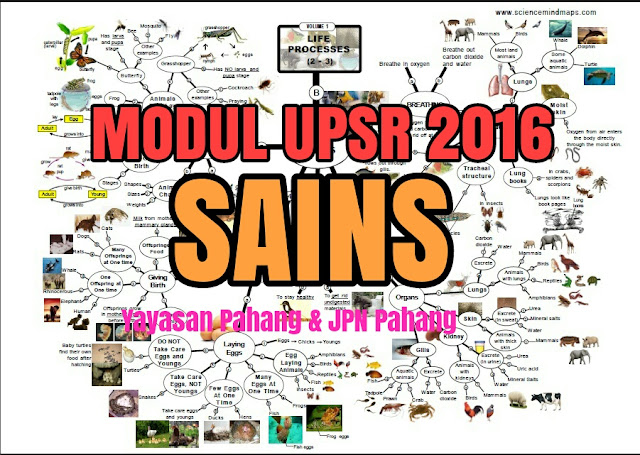 UPSR Modul Sains Pasti A - Pahang - WINMALAYSIA