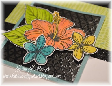 2016-7 blog hop - hawaiian hibiscus - calypso - CU DSC_1897