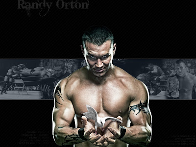 randy orton wallpapers. Randy Orton Wallpapers,